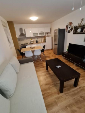 DELFIN VIDALIĆI APARTMAN